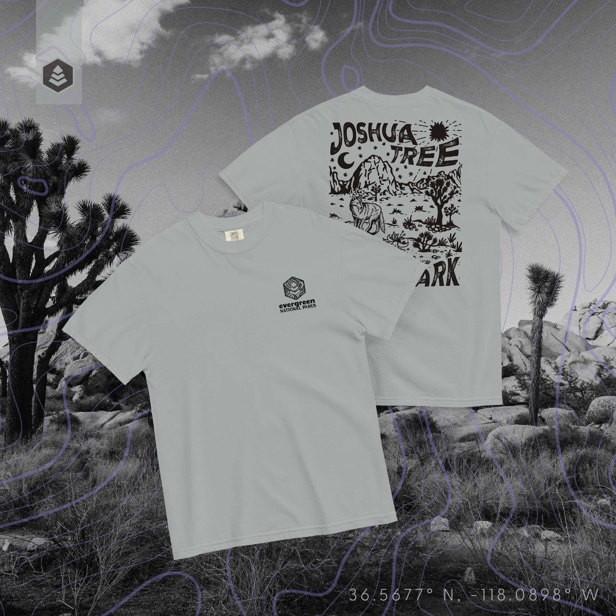 Joshua Tree National Park (Breathable Relaxed Fit T-shirt) - Evergreen