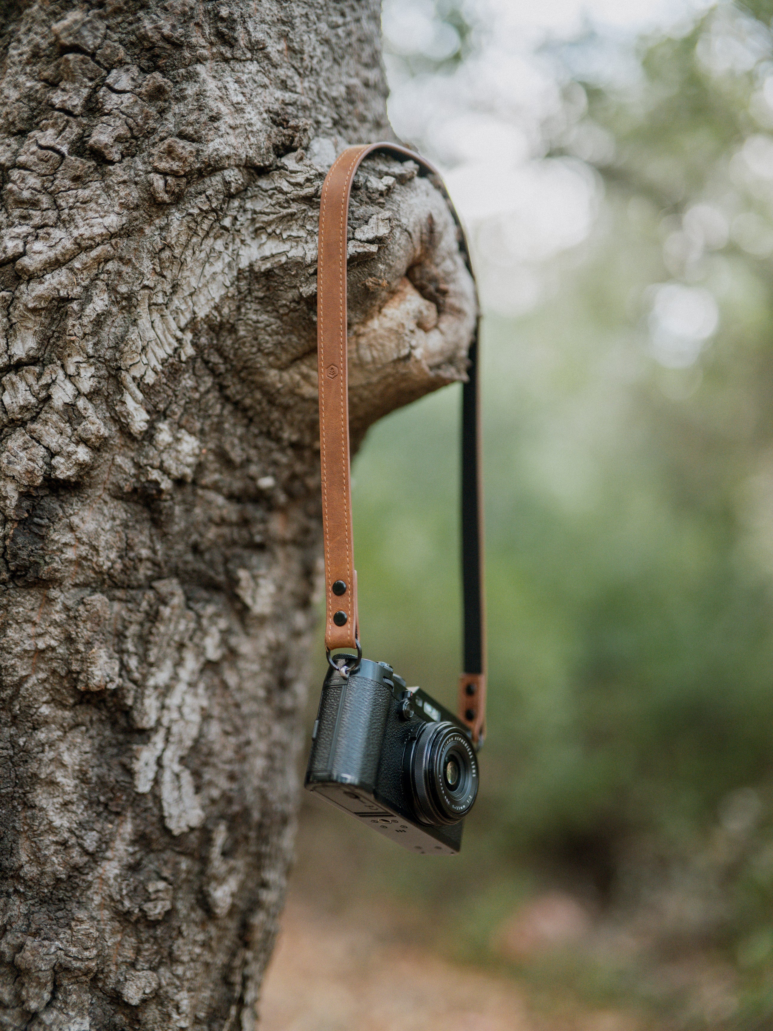 Heritage_Camera_Strap_On_Tree.jpg