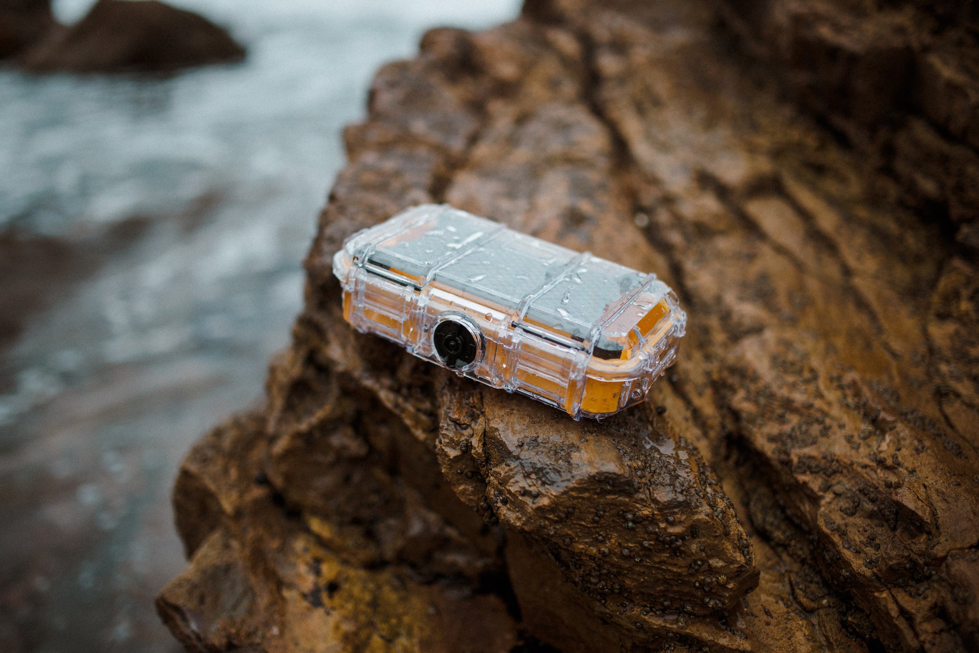 Compact Cases Evergreen