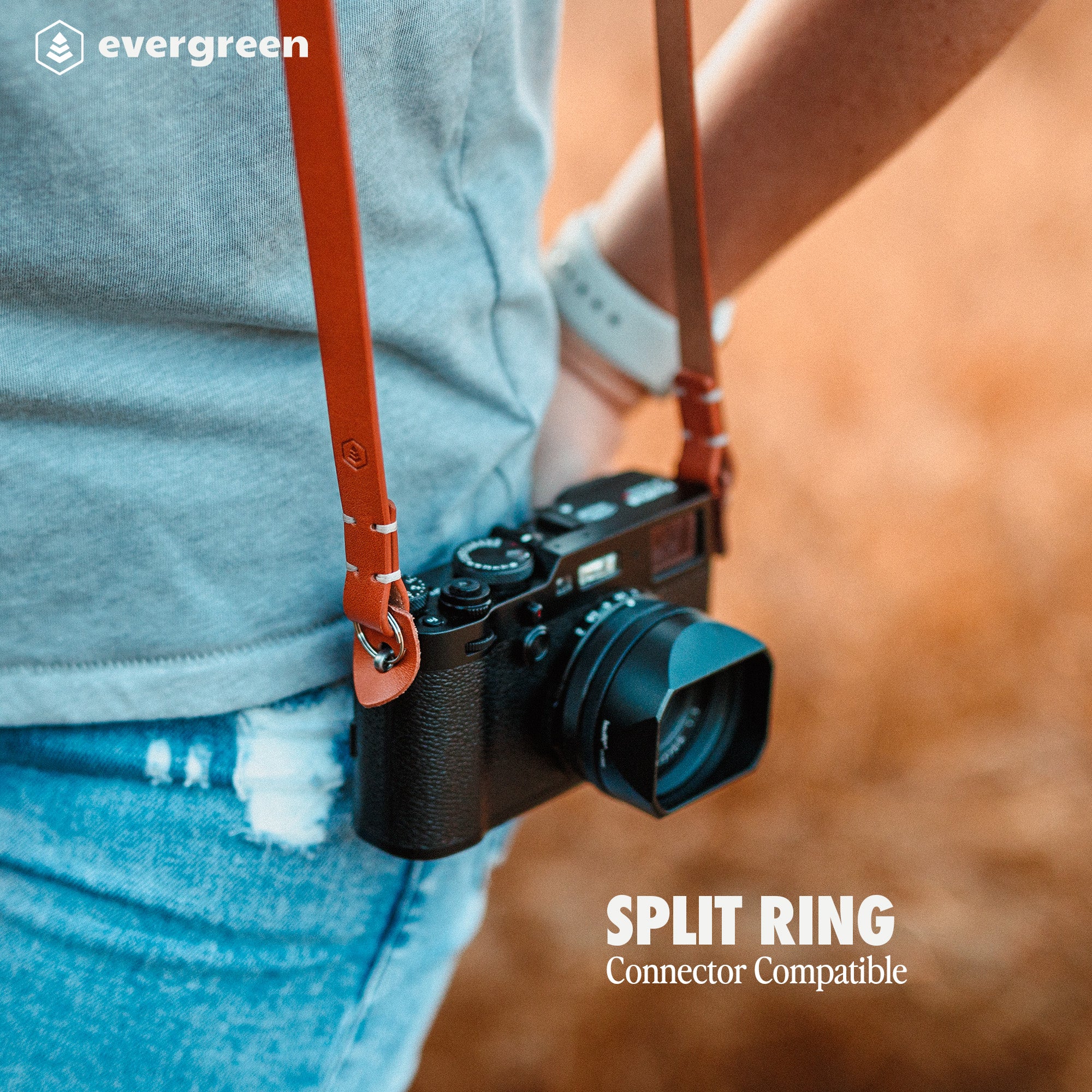38") - Evergreen