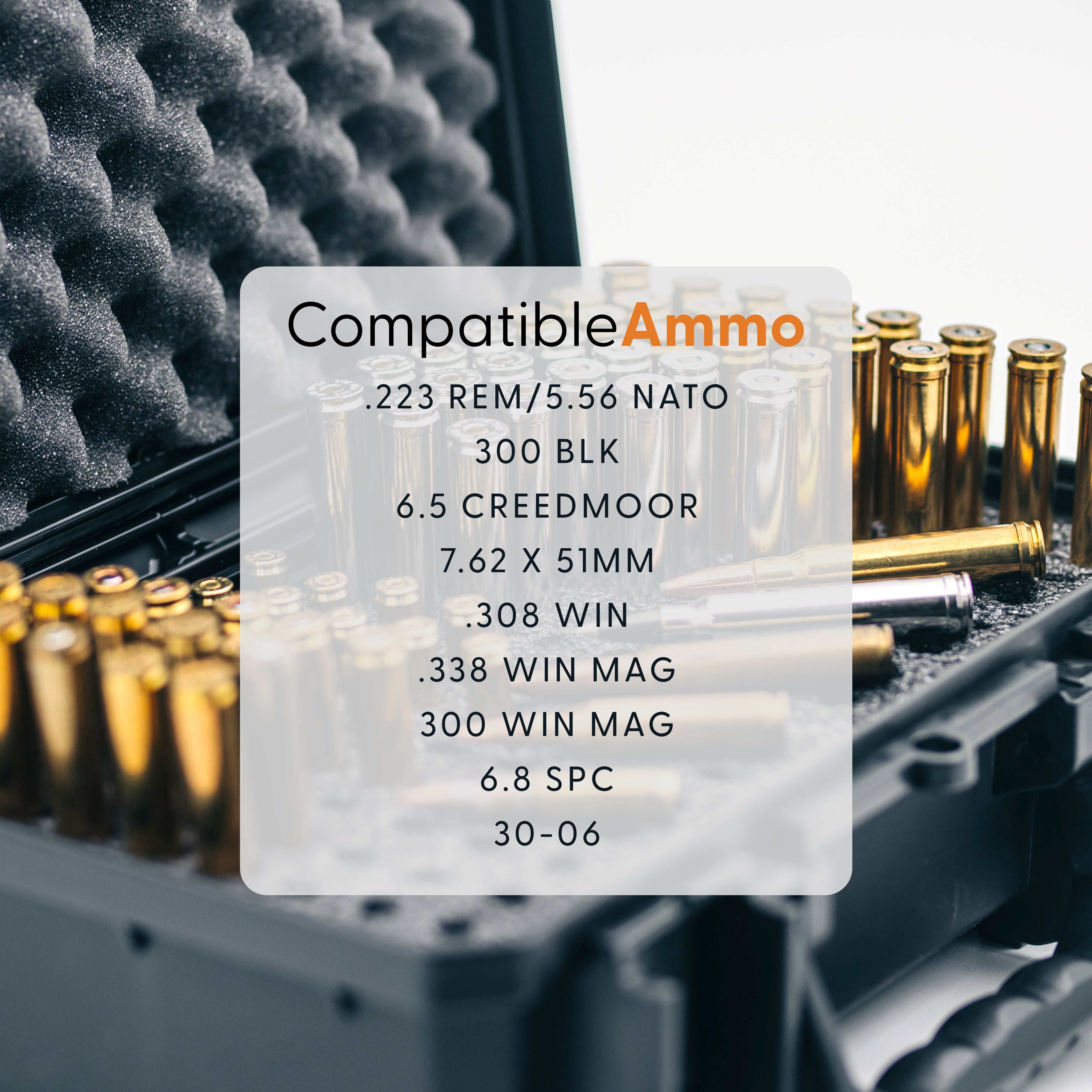 Evergreen 230 Rifle Ammo Case