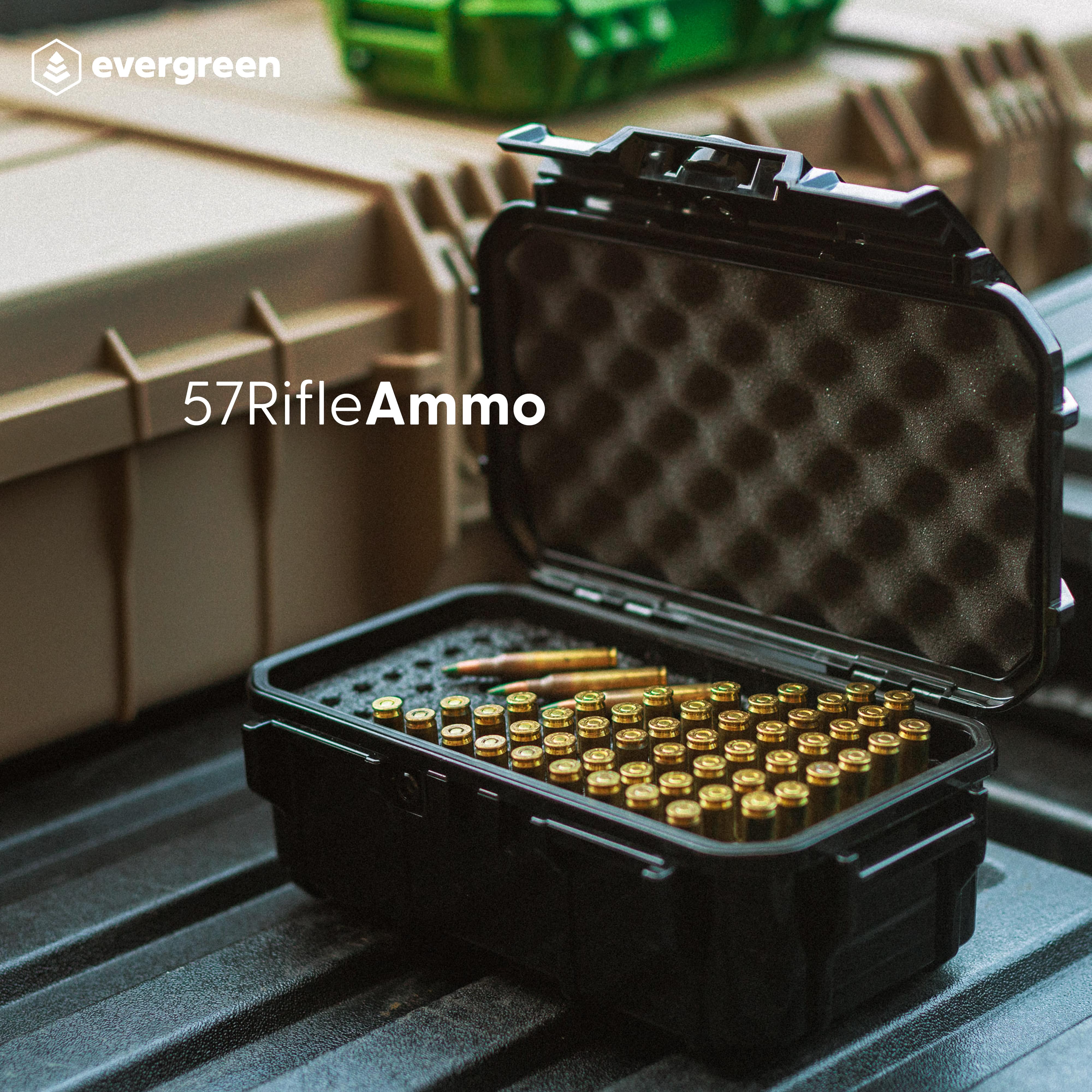  Evergreen 100 Pistol Round Bullet Locking Storage Case