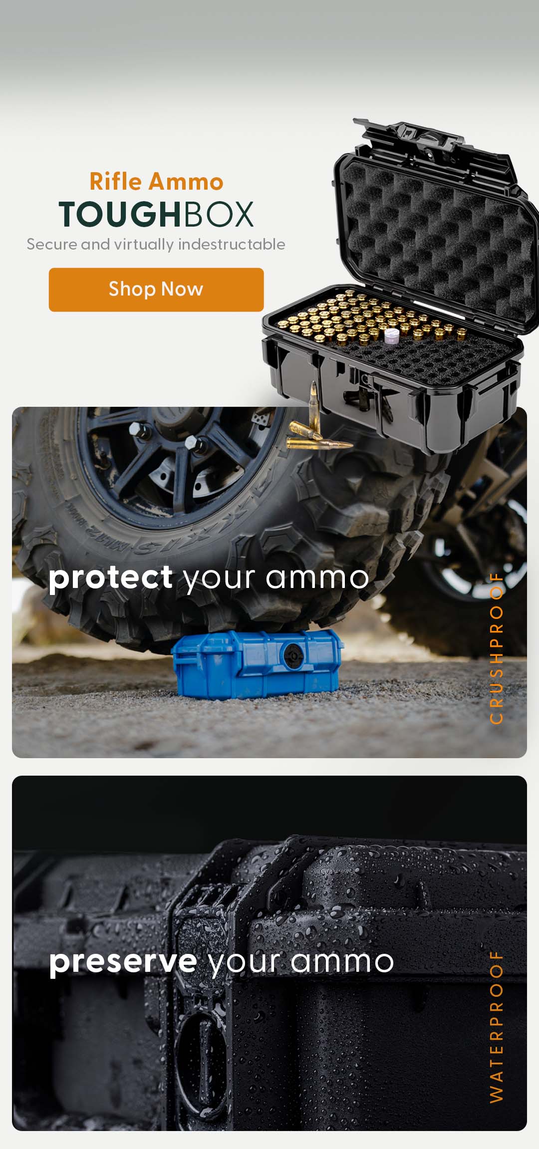 Rifle_Ammo_Mobole_Landing.jpg