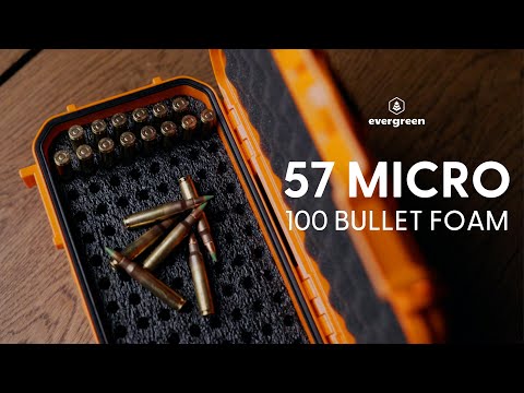 Ammo: 223 * 100 Rounds (57) – Evergreen