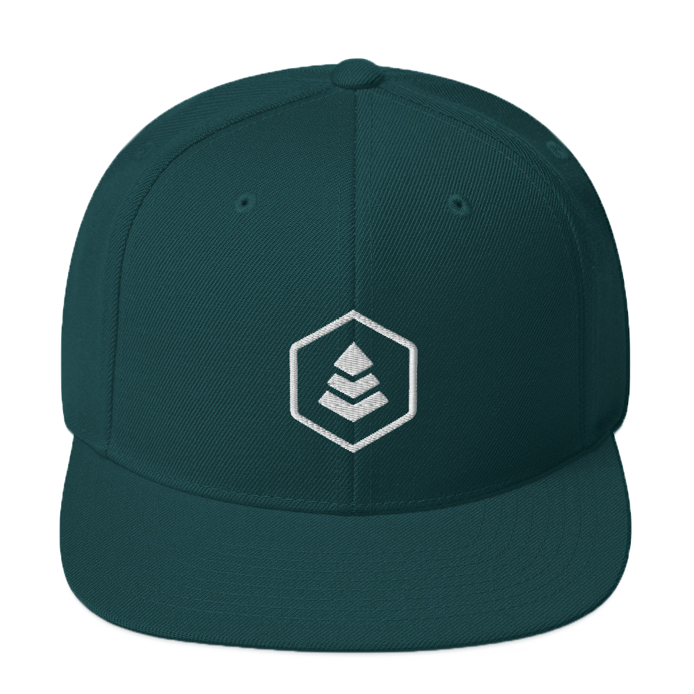 evergreen classic snapback hat
