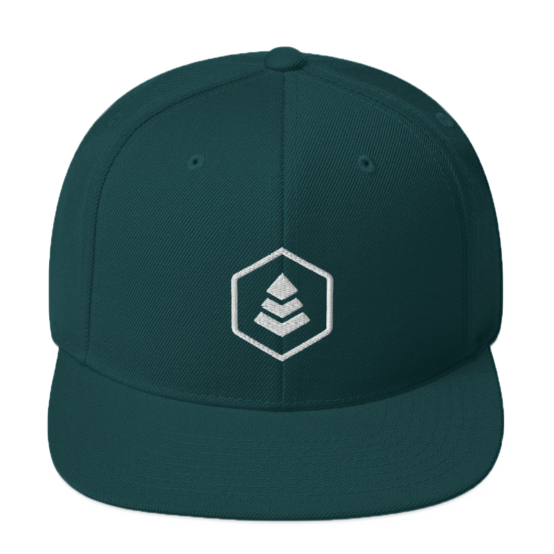 evergreen classic snapback hat