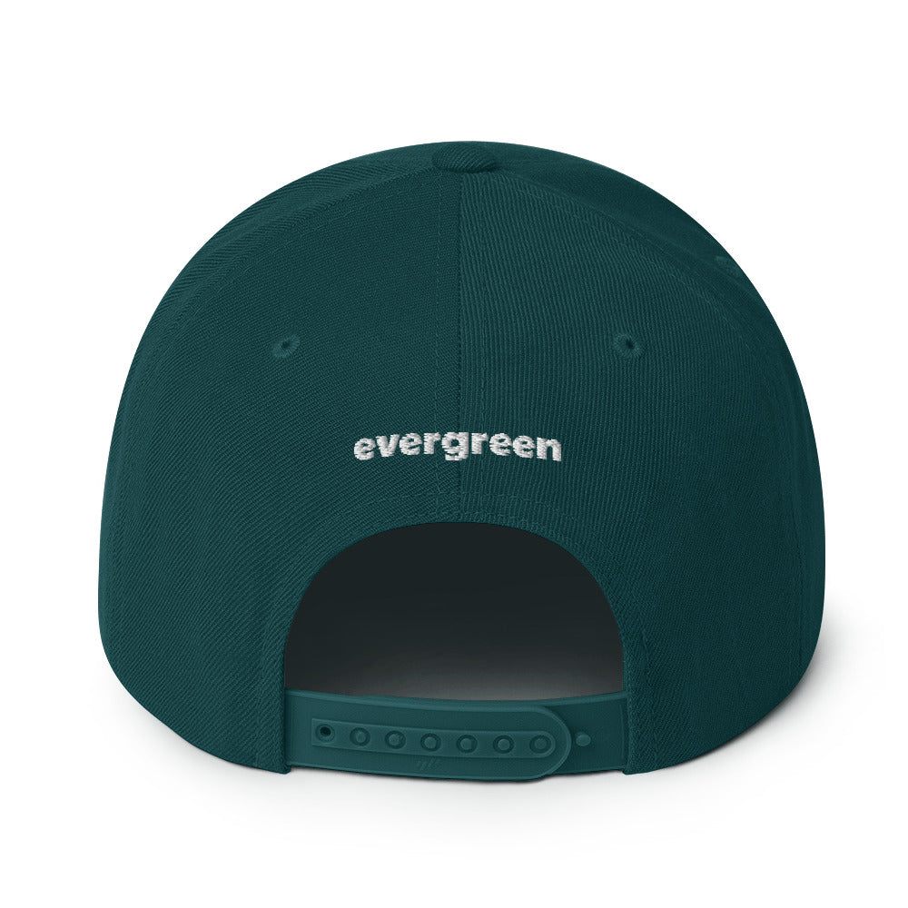 evergreen classic snapback hat - Evergreen